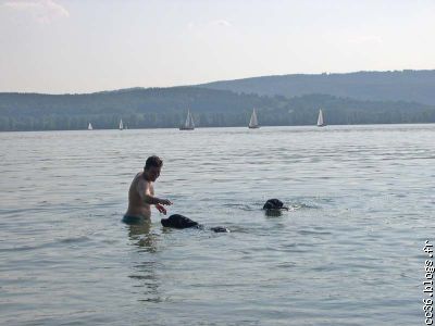 baignade dans le Bodensee (lac de Constance)